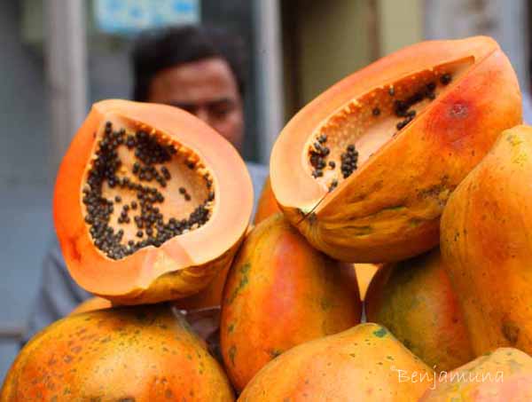 papaya