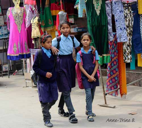 Sabzi market  Delhi (10)